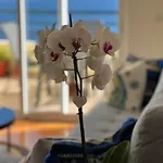 Vebella Ocean View Apartman *