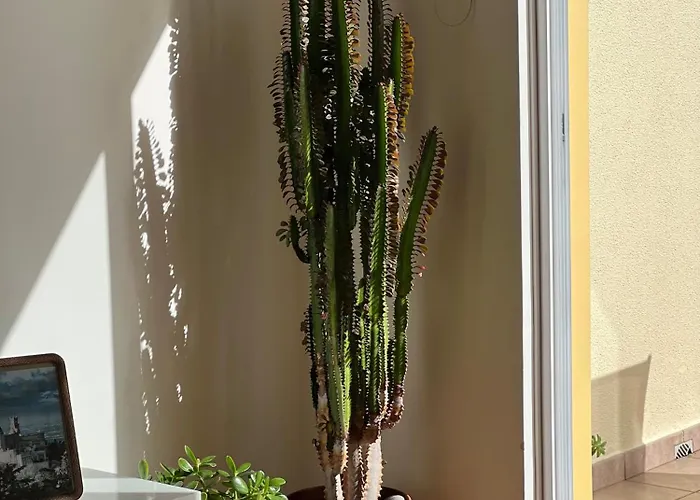 Vebella Ocean View Appartamento Caniço