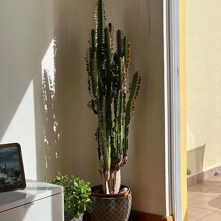 Vebella Ocean View Lägenhet Caniço